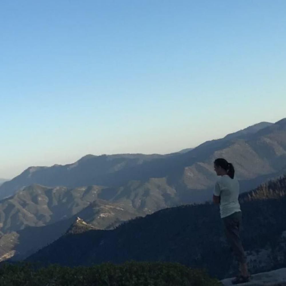 Meet your Posher, Shirley